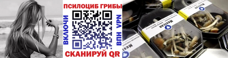 Купить закладки  Нижнеудинск  Псилоцибиновые грибы ЛСД 